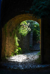 Fototapeta premium Saint-Cirq-Lapopie, Lot