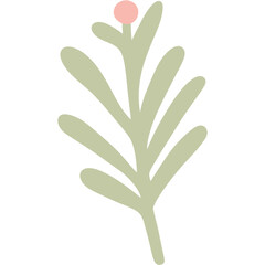 Fototapeta premium Boho Succulent Dream Png
