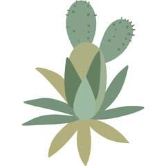 Boho Succulent Dream Png