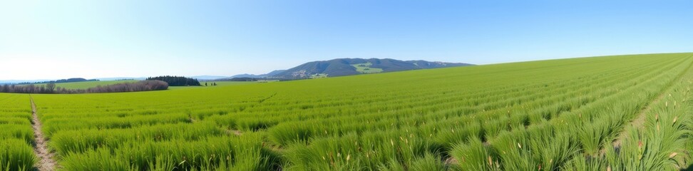 Fototapeta premium Serene grassy field gently sloping towards a distant hill under a clear sky, hill, scenery
