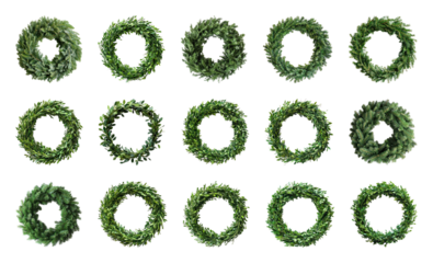 PNG Green wreaths variety collection, element set on transparent background
