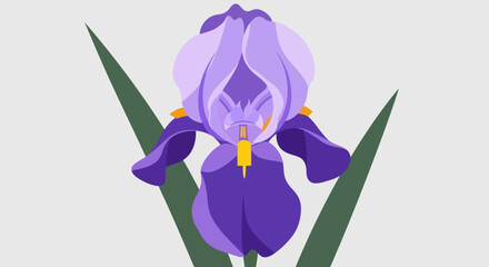 A vibrant, stylized iris flower with purple petals, yellow accents, and green leaves against a gray backdrop