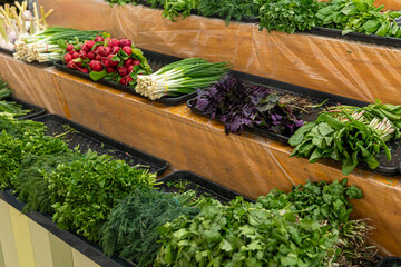 Fresh greens and vegetables on the market counter. Vegetable farmer market counter: colorful various fresh organic healthy vegetables at grocery store. Healthy natural food concept