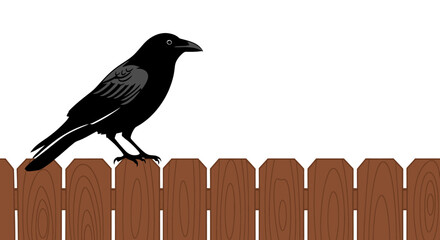 A black crow perches on a wooden fence with a white background. Simple illustration of the bird