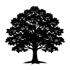 Fototapeta premium Vector art of silhouette of an oak tree, showcasing its broad canopy and sturdy trunk in a simple, yet elegant design