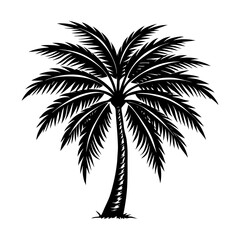 Obraz premium Vector art of palm tree silhouette, a tropical symbol of relaxation, vacation, and summer, evoking a sense of paradise and tranquility