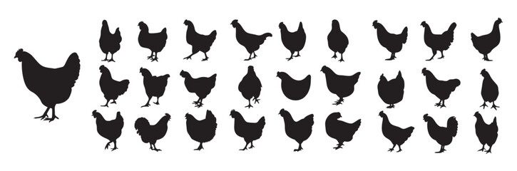 Chicken and Hen Farm Bird Vector Silhouette Icons Set: Poultry, Livestock, and Agriculture Graphics
