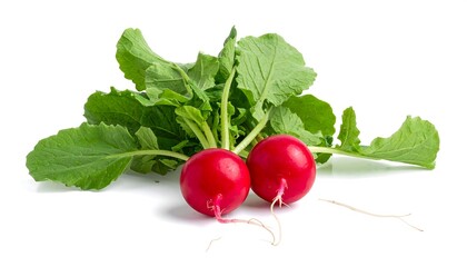 Vivid red radishes with vibrant green leaves on a white background, isolated for culinary or health-related visuals