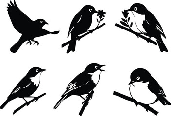 Stylized bird illustrations perched on branches, silhouette and detailed designs, floral elements, nature-inspired vector art for decorative, artistic, and creative use