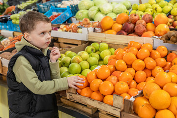 Little boy buying tangerines, oranges and green apples at farmer's market. Healthy nutrition concept. High quality photo