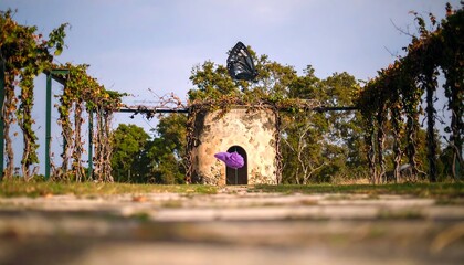 Stone Structure and Butterfly with Overhead Trellis in Nature Setting