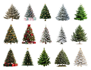 PNG Variety of decorated Christmas trees, element set on transparent background