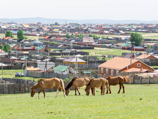 Obraz premium Kharkhorin, Mongolia