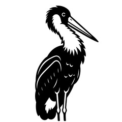 Illustration of a black and white woolly necked stork standing with a long beak and elegant neck