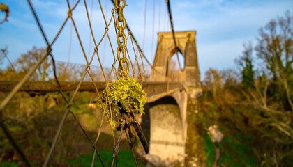 Suspension Bridge with Metal Chain and Moss Closeup in Daylight