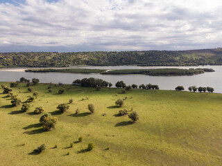 Serene pastures and unique, beautiful trees under a sunny sky on Krćedinska Ada island near Beška, Serbia. A peaceful natural landscape along the Danube River.