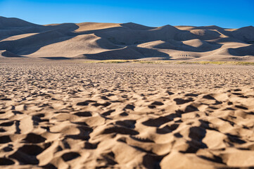 Great Sand Dunes National Park in Colorado, USA. Curves of sand dunes casting shadow against the clear blue sky. Desert landscape and the tallest dunes in North America.