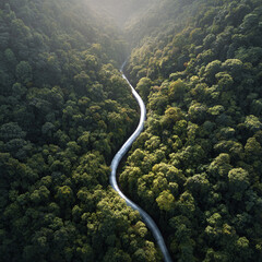 Aerial shot of a winding road cutting through dense green forest. Symbolizes journeys, paths, and natures beauty. Great for travel, adventure, or environmental themes. Serene and peaceful.