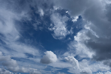 澄んだ空にぽつかりと丸い雲