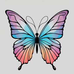elegant colourful butterfly vector illustration