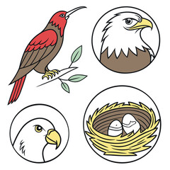 Stylized illustration of a red bird on a branch and eagle icons featuring a nest with eggs