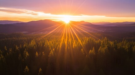 Aerial view of sun burst over mountain range with pine forest landscape at sunset