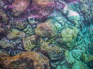 Looking into shallow waters, Bonaire