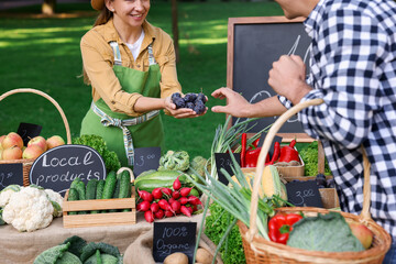 Man choosing fresh plums from stall with vegetables at farmer's market, closeup