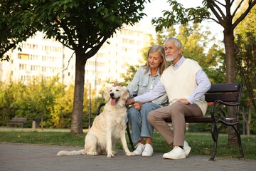 Senior couple with adorable Golden Retriever dog on bench outdoors. Space for text