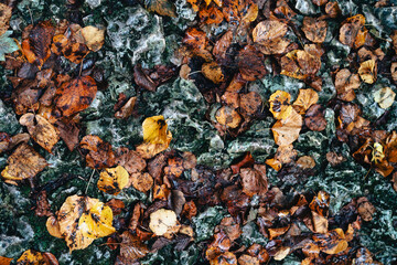 Autumn leaves, rocku ground, abstract background