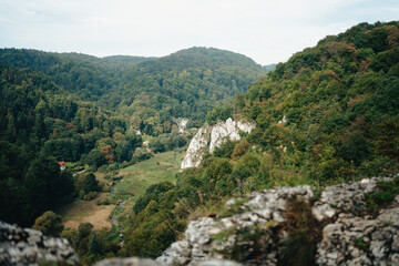 Green mountains, hills, Ojcowski National Park, Poland