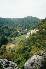 Green mountains, hills, Ojcowski National Park, Poland