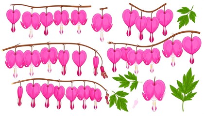 Pink heart-shaped flowers, commonly known as bleeding hearts, on brown stems, with green leaves. They're arranged in a decorative collection