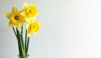 Fototapeta premium Daffodils in a Vase