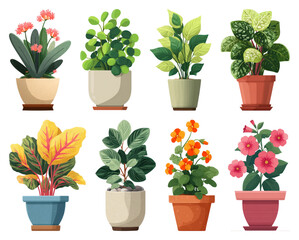 Fototapeta premium PNG Vibrant potted plants illustration, element set on transparent background
