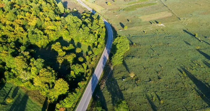 Aerial view of country road separating forest and meadow