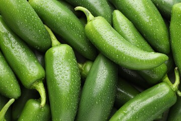 Many wet green jalapeno peppers as background, closeup