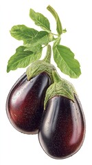 two eggplants isolated on a white background, studio shot, Generative AI.
