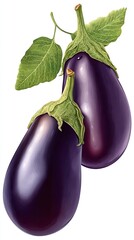 two eggplants isolated on a white background, studio shot, Generative AI.