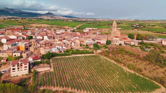 Aerial view of Bilar old town surrounded by beautiful vineyards in Spain