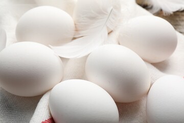 Raw chicken eggs and feathers on table, closeup