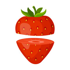 Fresh red strawberry, cut in half. Hand drawn flat style isolated on transparent background. Perfect for apps, websites, stickers, menus, decor, packaging, and branding. Vector illustration