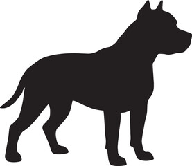 Silhouette profile of a muscular pitbull terrier dog standing alert and proud