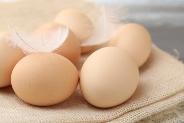 Raw chicken eggs, feathers and cloth on grey table, closeup