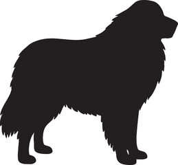 Newfoundland dog silhouette side profile majestic breed animal pet canine companion © Muhammad Foysal