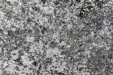 Rough, textured surface with natural weathered pattern gray and black tones. Aged material presents...