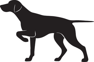 Elegant silhouette of a german shorthaired pointer dog in a classic pose
