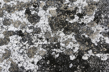 Rough weathered surface displaying intricate patterns of dark grey and white patches, showcasing natural grunge texture. unevenness creates compelling background, evoking sense of time and history