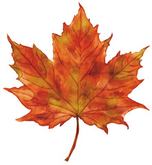 Obraz premium Fall Mega Pack Clipart & Stickers | PNG Transparent