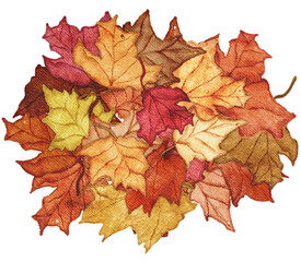 Fall Mega Pack Clipart & Stickers | PNG Transparent